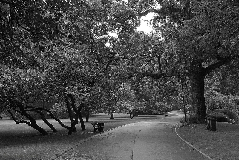 Parc de Mariemont