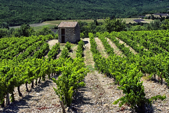 Drôme : Coteaux à Dieulefit