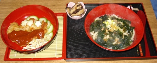 SANUKI UDON - Soupe de nouilles de blé épaisses au Dashi & Wakame