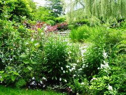 Le Jardin de Claude Monet 