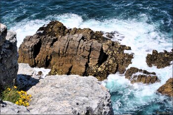 Photos de la Pointe de Pen-Hir : côté Pointe du Toulinguet