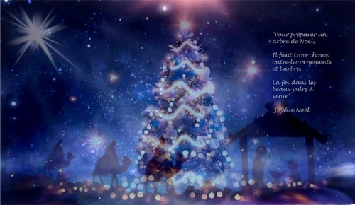 Nous vous souhaitons un très beau Noël en famille ou entre amis...
