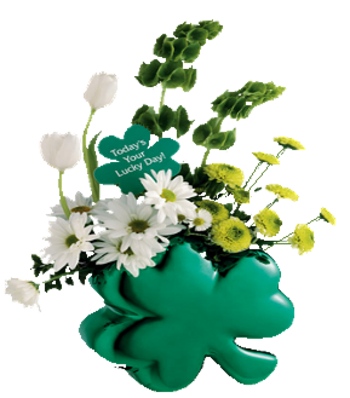 Accessoires St Patrick 1