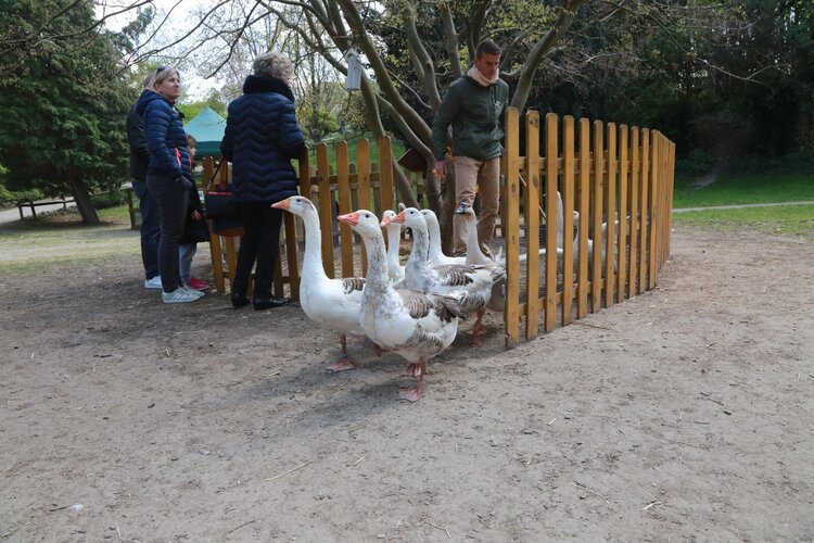 promenade sur les bords de marne 