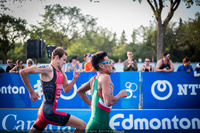 season triathlon at the 2024 Paris Olympic Games 