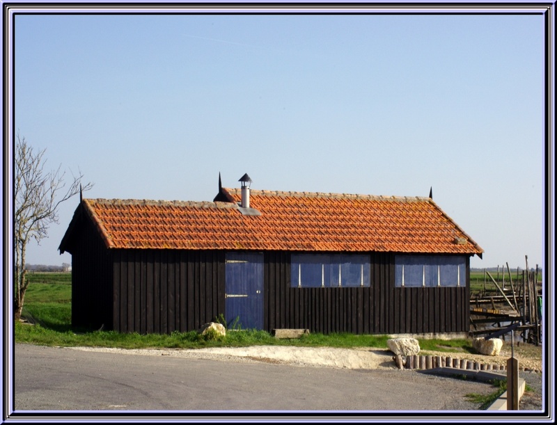 Dans les marais de la Seudre ,un petit port ostréiscole  ,le port Paradis (charente maritime)