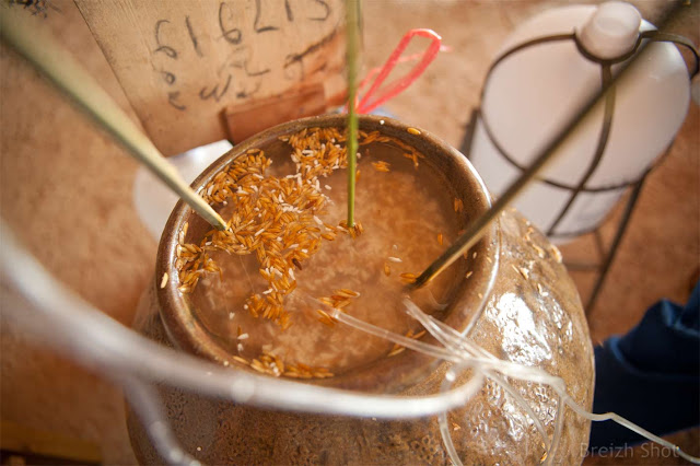 Thaïs noirs Ban Donlè : Vin de riz Thaïs noirs Ban Donlè : Vin de riz