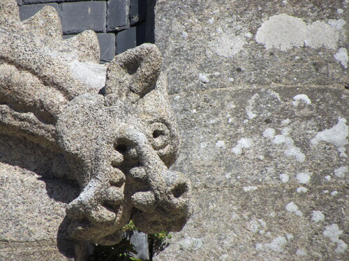 Balade en Bretagne nord (6).