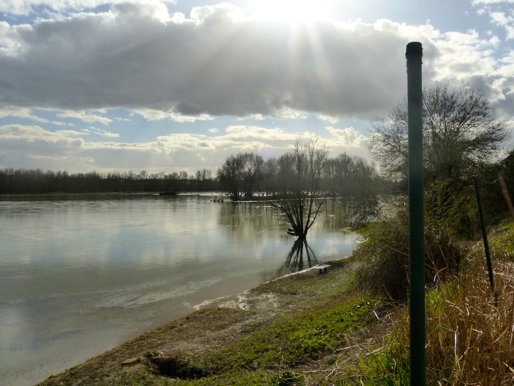 Balade en bord de Loire: "sol y sombra"!