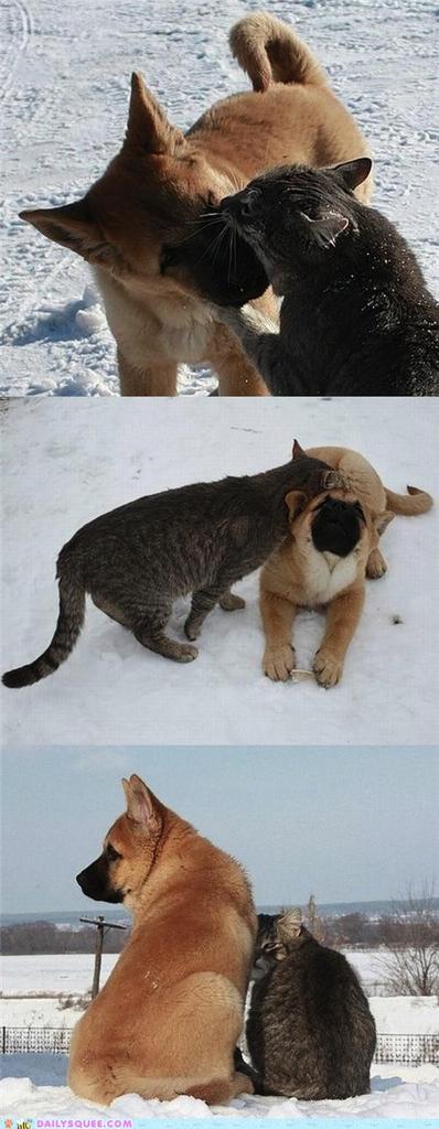 friends-in-all-kinds-of-weather.jpg