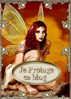 Protèges blog série 11