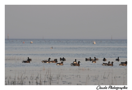 DU COUCHER AU LEVER DU SOLEIL - CAP FERRET - L'HERBE