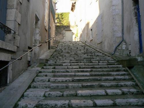 La Tour Beauvoir est à l'origine un donjon entouré d'un fossé, dépendant du fief particulier des seigneurs de Beauvoir. Elle devient la propriété des comtes de Blois en 1256. Le château royal de Blois est l’introduction idéale à la visite du Val de Loire car il représente la synthèse de l’architecture et de l’histoire des châteaux de la Loire. Sa cour offre un véritable panorama de l’architecture française du Moyen Âge au 17e siècle.Résidence de 7 rois et de 10 reines de France, c’est un lieu évocateur du pouvoir et de la vie quotidienne de la Cour à la Renaissance comme en témoignent les appartements royaux richement meublés et ornés de magnifiques décors polychromes.
