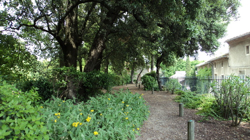 Parc du Château de Val Seille à Courthézon (84)