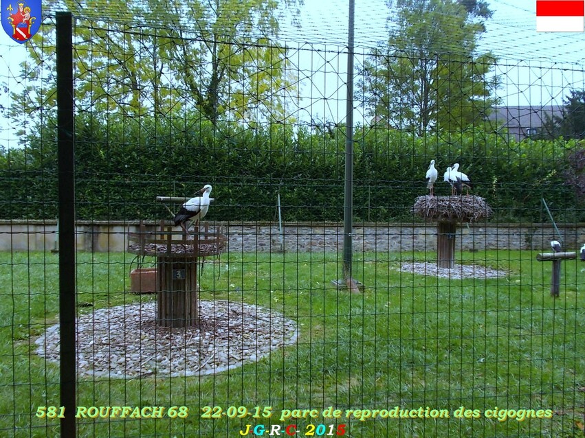 VACANCES SEPTEMBRE 2015  ROUFFACH  68   1/3    D   11/12/2015