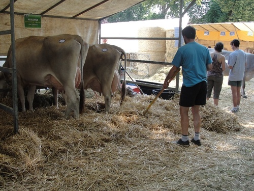 -La Fête de la Musique à Châtillon sur Seine