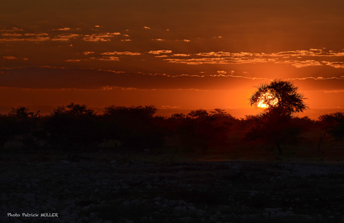 Lever et coucher de Soleil sur Etosha