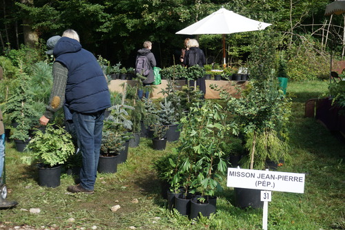 Une belle édition d'automne à St Jean de B