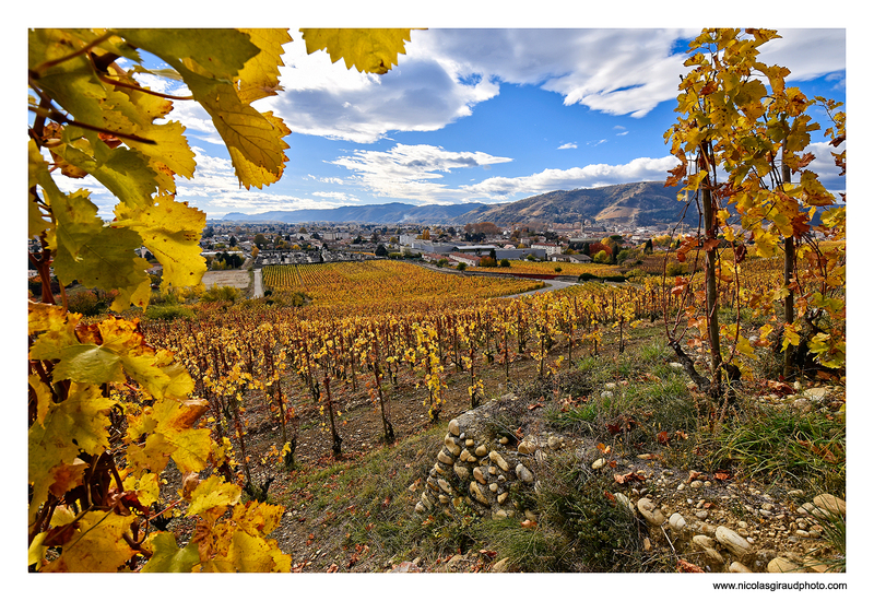 Automne des vignobles de Tain aux Roches qui dansent