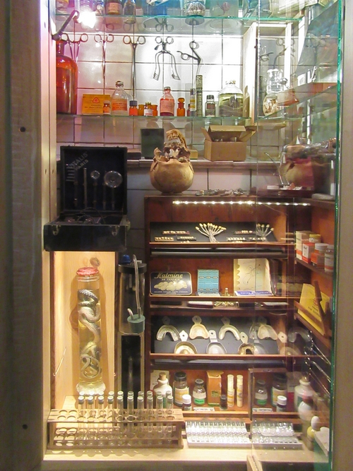 Le cabinet de curiosités de la Galerie des Z''uns possible de Fabien Ansault à Chamesson, s'est agrandi et s'est superbement étoffé !