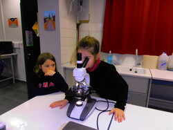 Ateliers sciences au collège