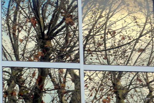 Les fenêtres et des reflets