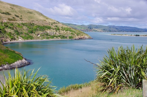 Jour 10 - Otago Peninsula