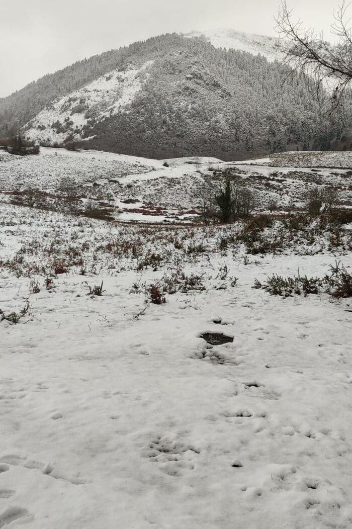 La neige en montagne.