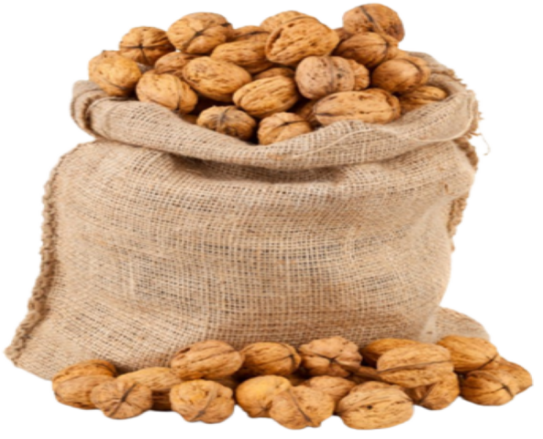 La récolte de noix: une bonne réserve pour l'hiver.