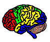 Autistic brain