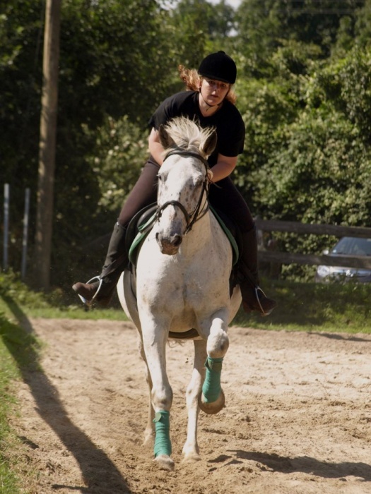 Reprise du 11/08/2012 - Centre Equestre du Petit Gomare