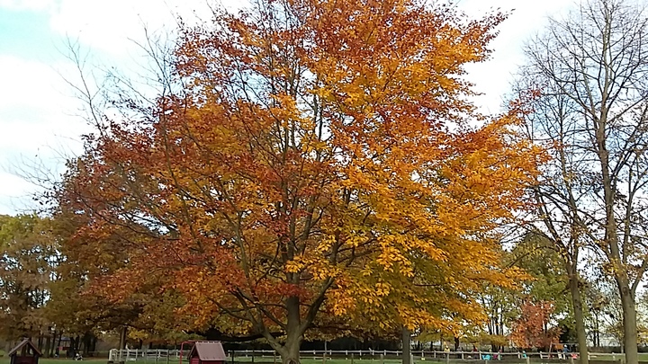 Balade à la plaine des bordes dimanche 