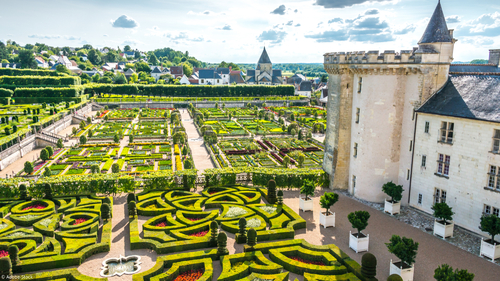 Les jardins magnifiques...