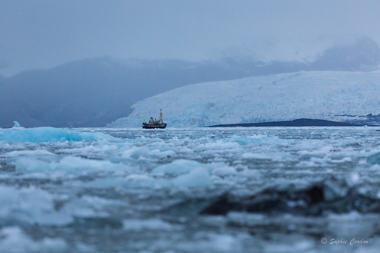 Kongsfjorden, la fin du pays des glaces