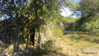 Cabane de chasse