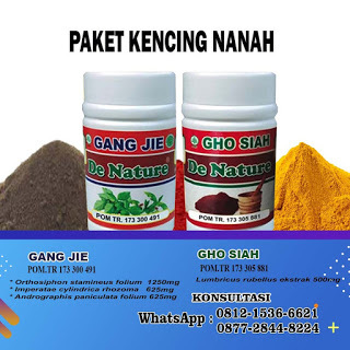 KETAHUI 5 TERAPI GONORE (KENCING NANAH) DENGAN BAHAN ALAMI DIRUMAH SENDIRI