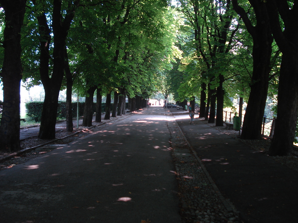 BRESCIA  ET  SES  ENVIRONS  EN  ITALIE  DU  NORD  JUIN  2013   (3)