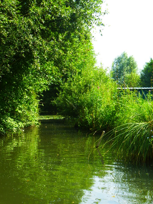   AMIENS    /     LES HORTILLONNAGES