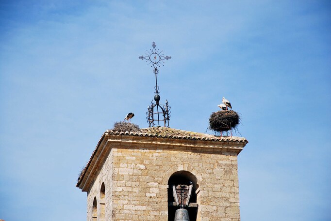 J39 - Boadillo del Camino - Nids de cigognes sur le clocher