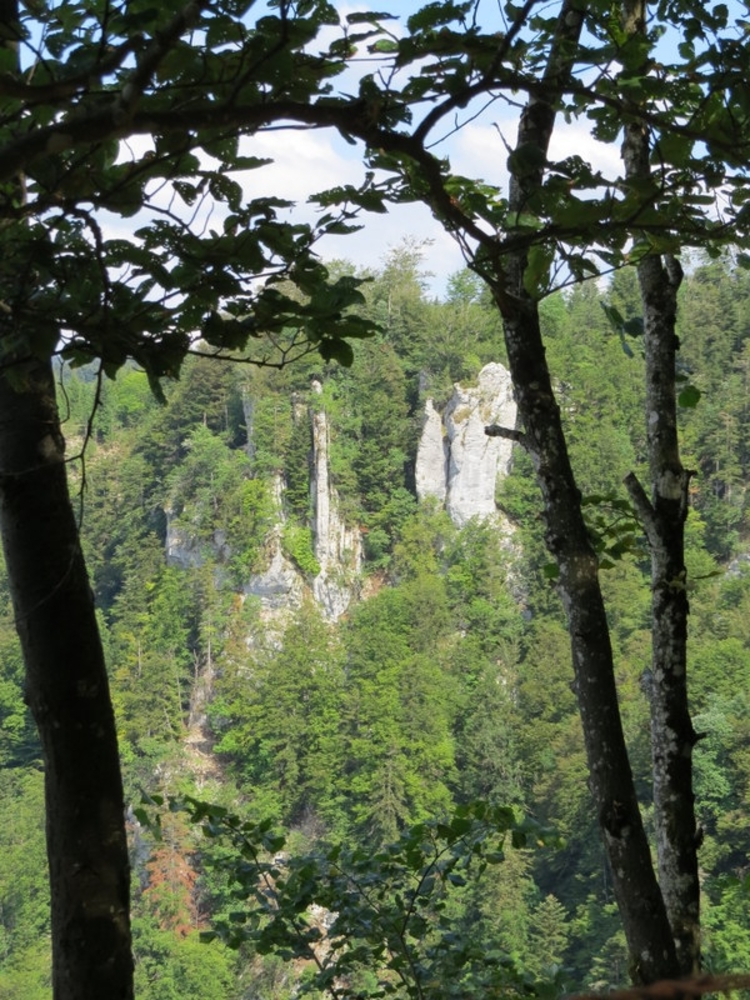 LE  PÈLERINAGE  DE  BERTILLE 