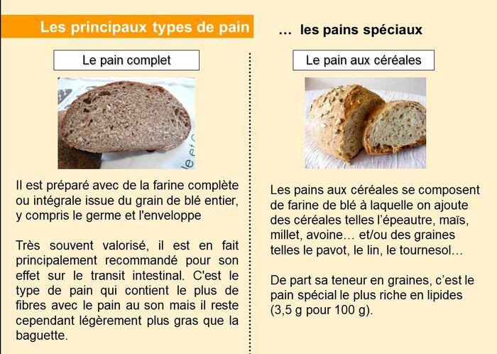 LE PAIN : TOUT SAVOIR !