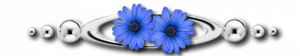 Bon Lundi M7OVBvpNRk0rxgOjEBIvTSydmlc@300x56