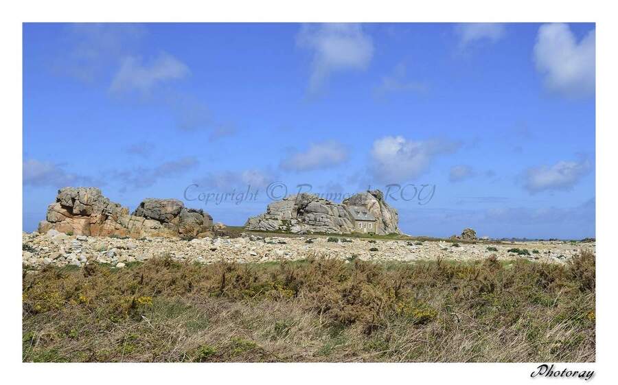 Plougrescant - Côtes d'Armor - Bretagne - 13 Mai 2014