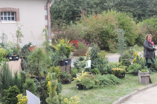 Journée de l'arbre