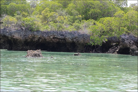 Safaris Blue, Zanzibar. 2023.