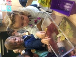 Nous observons des escargots!