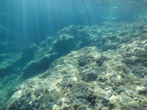 A l'abri du vent à l'ile Pomègue - Balade du 06 septembre 2020