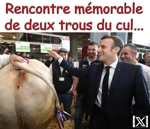 On ne rate pas l'humour tout azimuts des "Tiot" le mercredi!