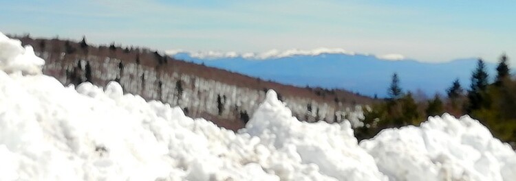 Montagne de Lure:La première fois depuis près de 10 ans! 1 mètre de neige!  Sans raquettes, impossible! 