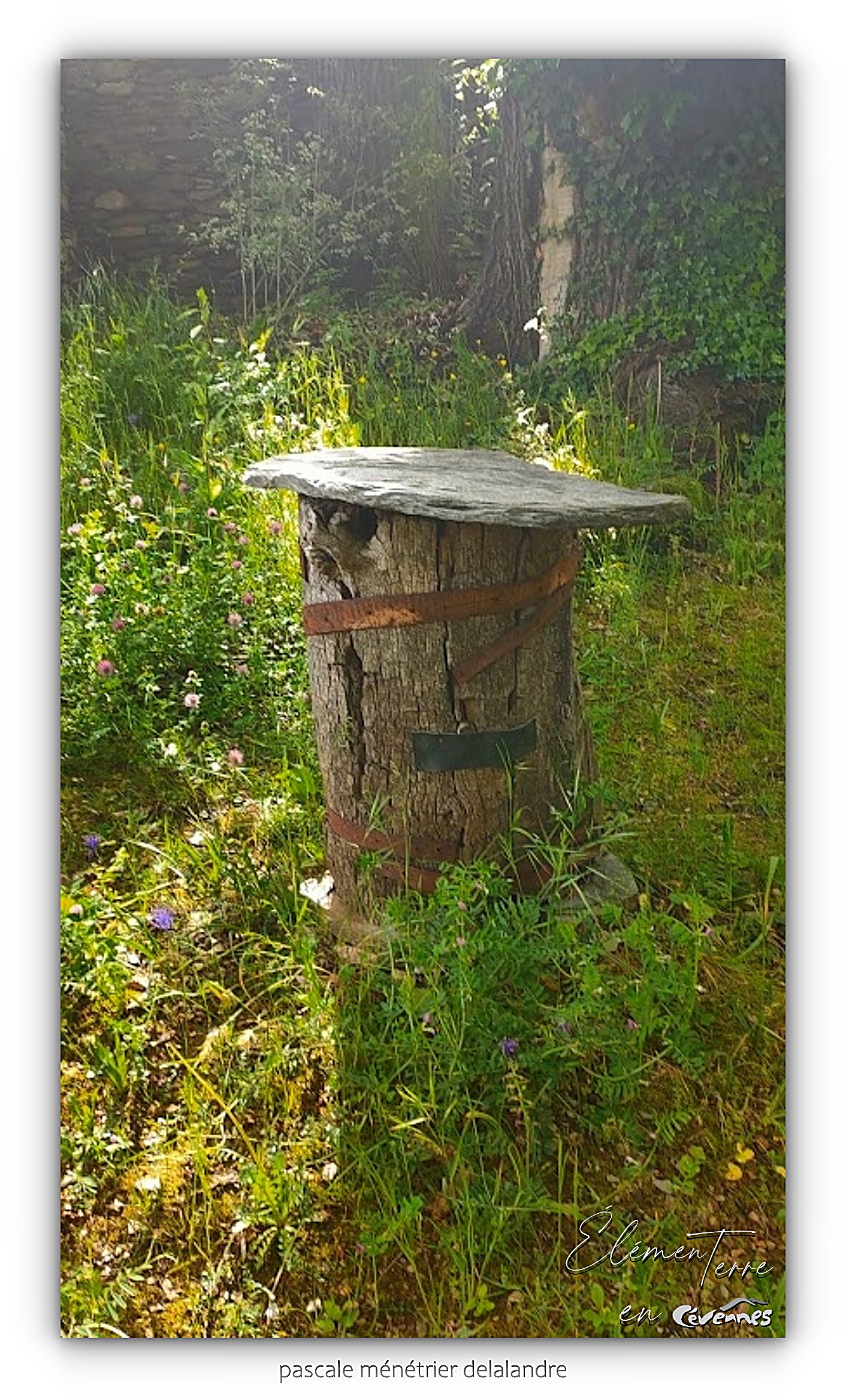 07/05/24 - Une des ruches anciennes de G&C